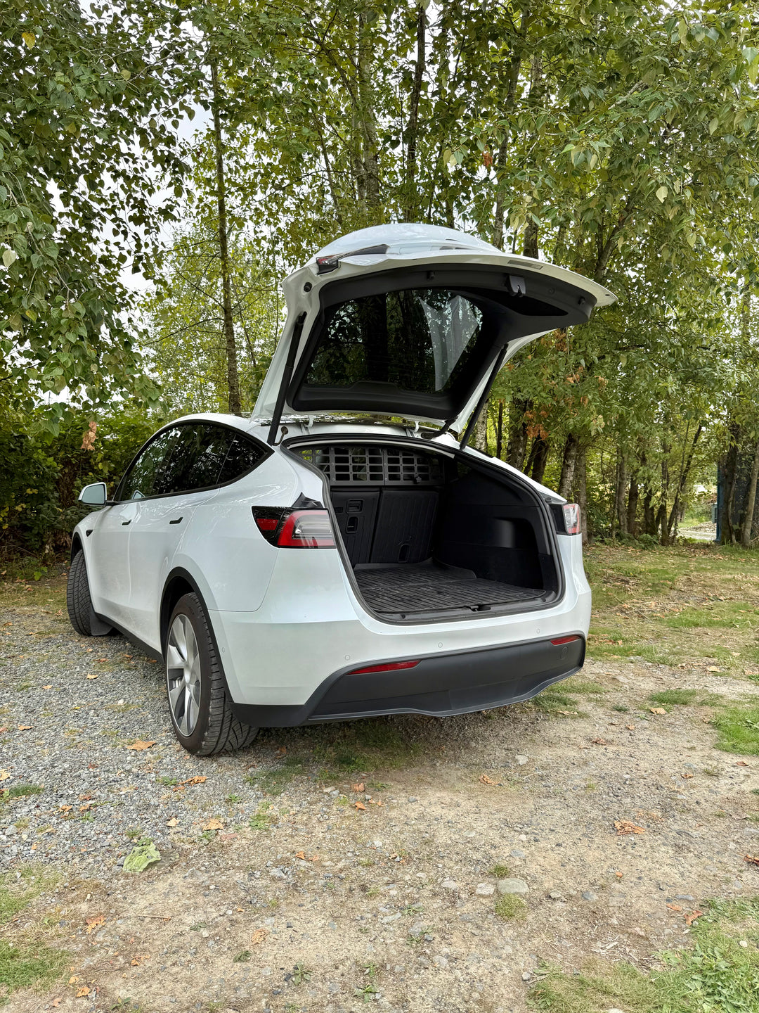 White Tesla Model Y with open rear hatch parked outdoors, featuring BPF Molle Style Pet Barrier Tesla Model Y 2020-CURRENT installed to separate cargo area from passenger space for pet safety.
